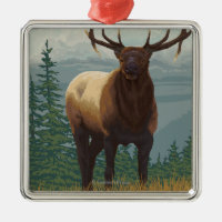 Rainier National Park, WashingtonElk Scene