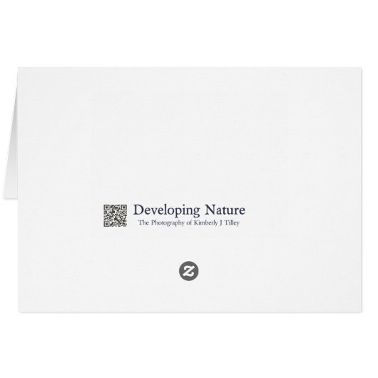 Rainier P5002 (Back Horizontal)