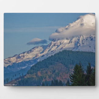 Rainier P5002 Plaque