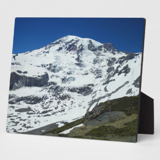 Rainier P555 Plaque