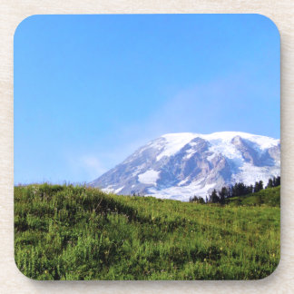Rainier PDSC230 Coaster