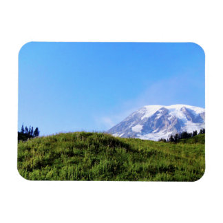 Rainier PDSC230 Magnet