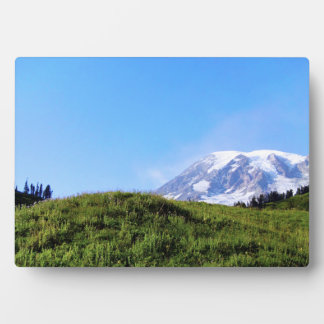 Rainier PDSC230 Plaque
