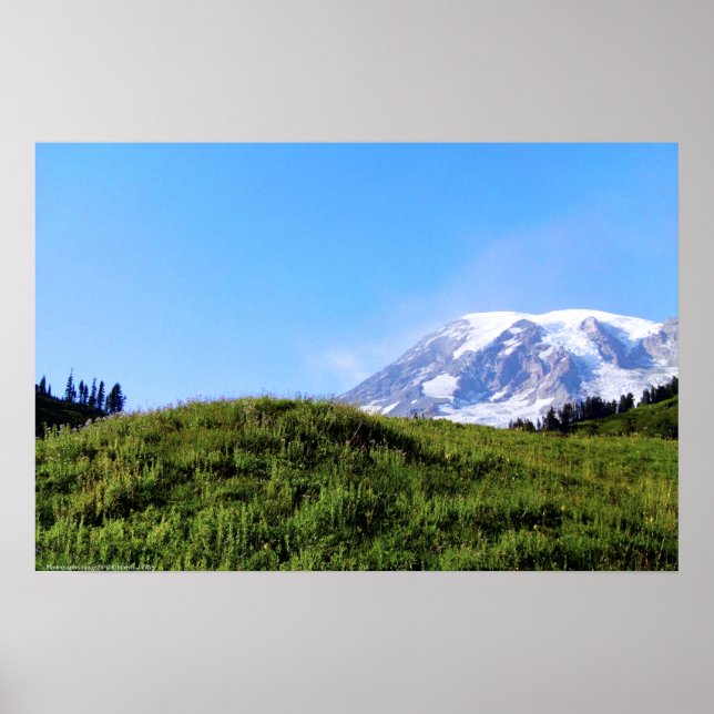 Rainier PDSC230 Poster (Front)
