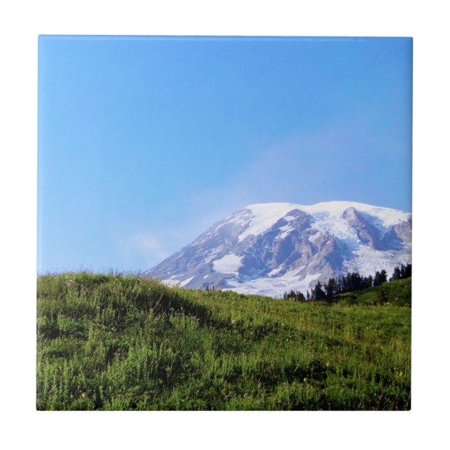Rainier PDSC230 Tile (Front)
