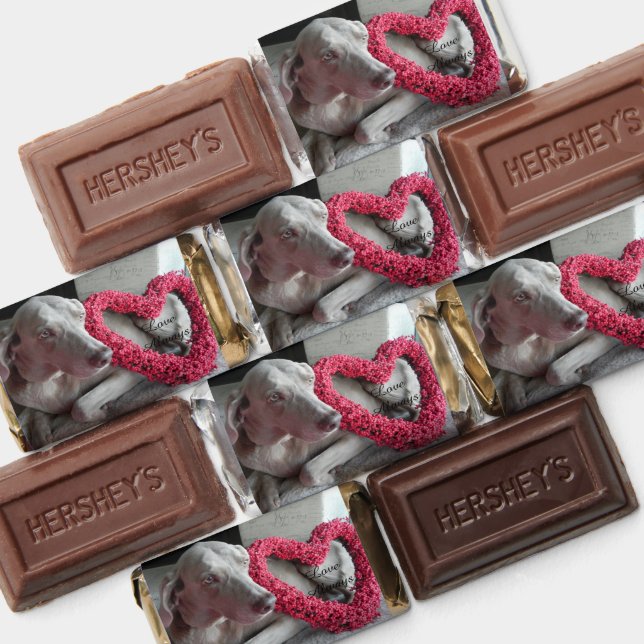 Rain's Heart Weimaraner Dog - Hershey's Miniatures (Assorted)