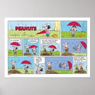 Rainy Day At The Baseball Game Poster