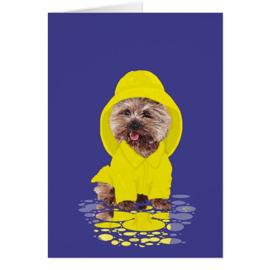 Rainy Day Cairn Terrier Cards (Front)