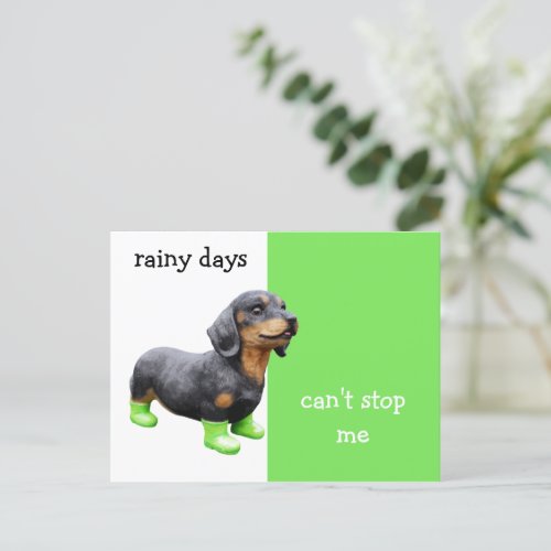 Rainy Day Dachshund Dog  Fun Encouragement  Postcard