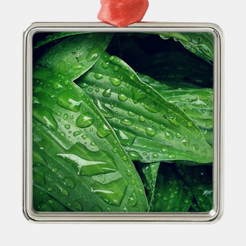 Rainy Day Hosta Leaves Metal Ornament