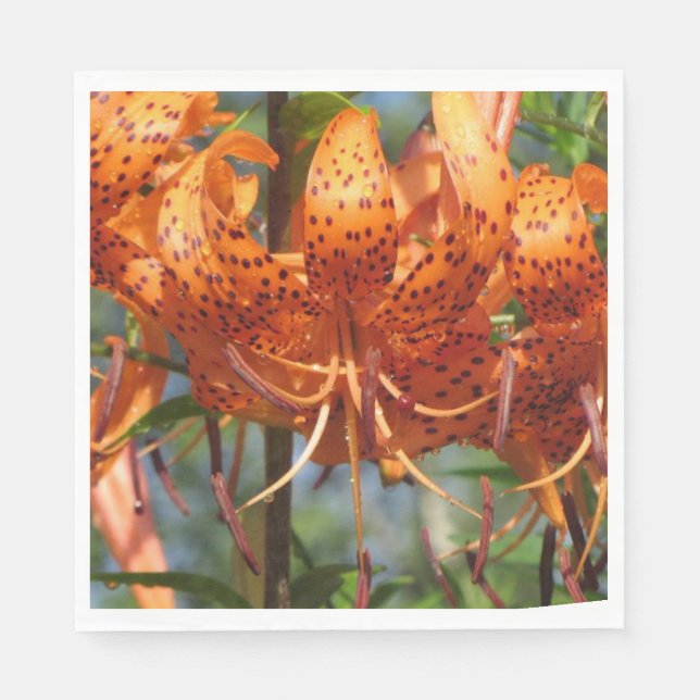 Rainy Day Tiger Lilies Paper Napkins (Front)
