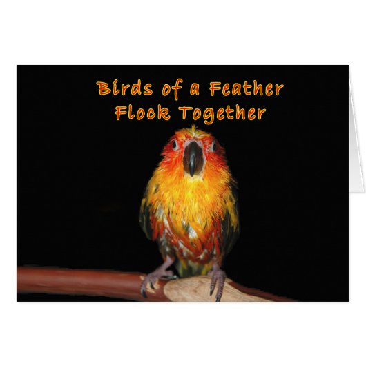 Rainy Days (Front Horizontal)