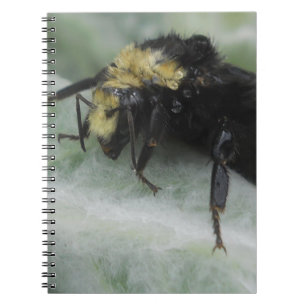 Rainy Days Notebook
