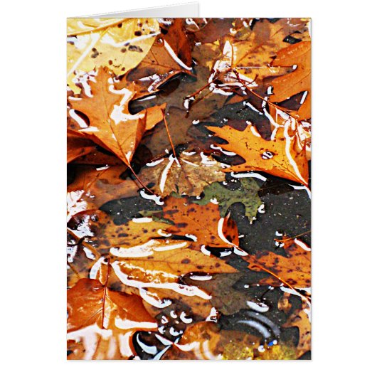 Rainy Fall Leaves Cards (Front)