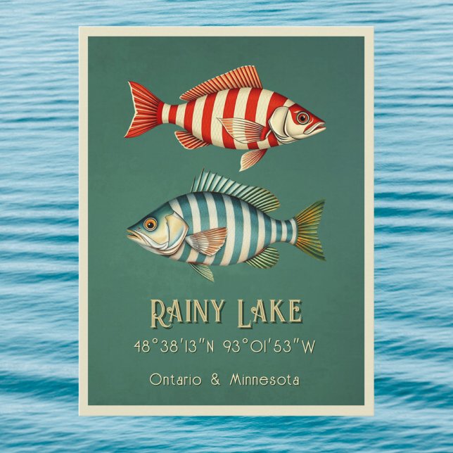Rainy Lake Ontario Minnesota fish Postcard (Creator Uploaded)