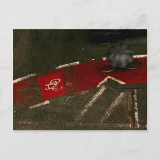 Rainy Ride Postcard