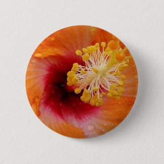 Rainy tropical day pinback button