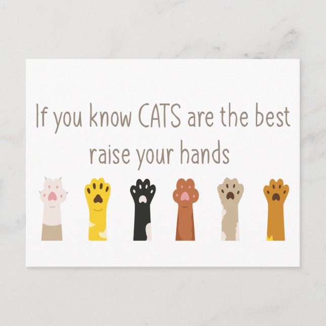Raise Your Hands Cats Are Best Fun Quote  Postcard (Front)