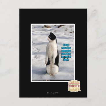 Raised by Penguins Postcard