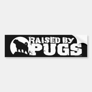 RAISED BY PUGS black bumper sticker