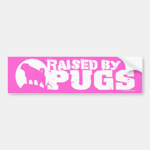 RAISED BY PUGS Pink Bumper Sticker