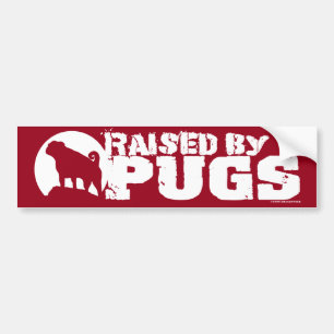 RAISED BY PUGS Red Bumper Sticker