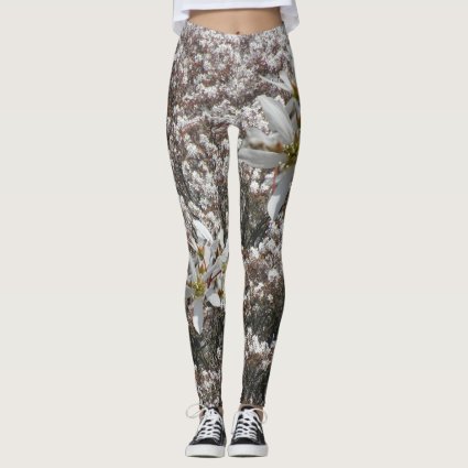 Raisin Blossoms Legging