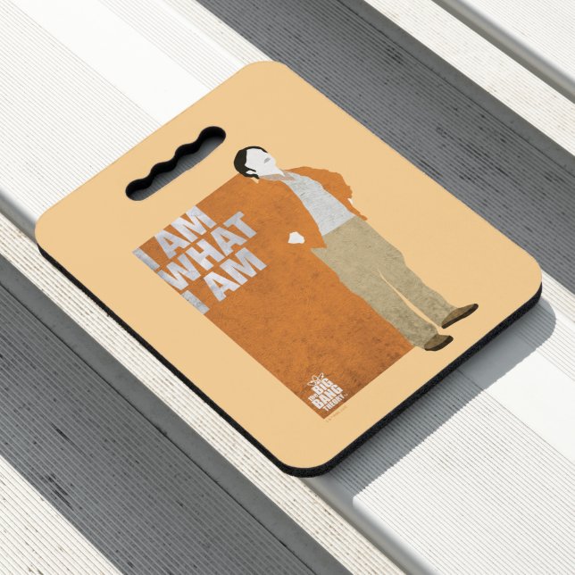 Rajesh | I am What I am Seat Cushion (In Situ)