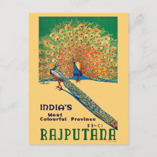 Rajputana India Vintage Travel Poster Postcard