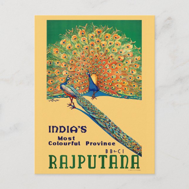 Rajputana India Vintage Travel Poster Postcard (Front)