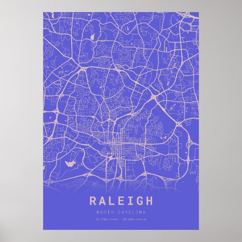 Raleigh Blue City Map Poster