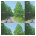Raleigh County Train Tracks Fabric