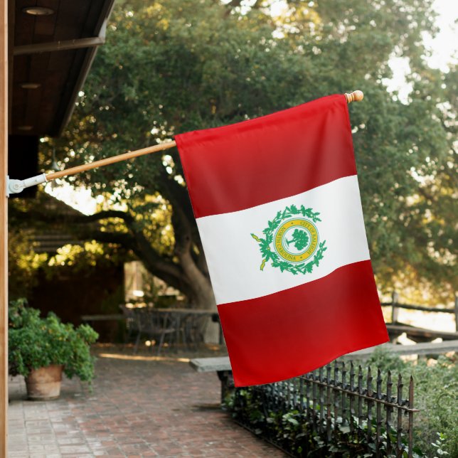 Raleigh (North Carolina) city flag (In SItu)