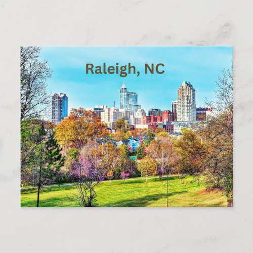 Raleigh North Carolina Downtown  Postcard