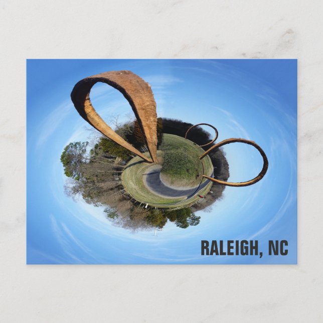 Raleigh North Carolina Museum of Art Rings Photo Postcard (Front)