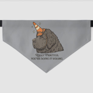 Rally Practice, You're Doing It Wrong Pet Bandana Collar