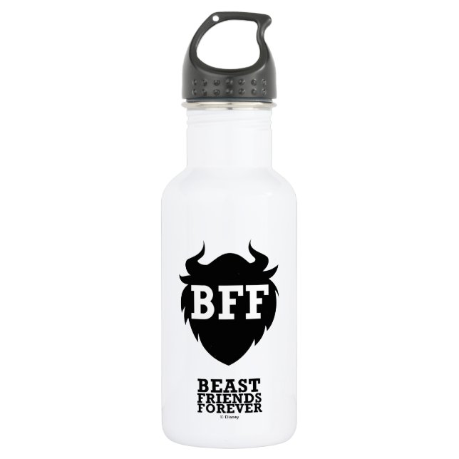 Ralph Breaks the Internet | Belle | BFF Stainless Steel Water Bottle (Front)