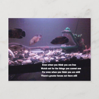 ralph W Staples Quotations Postcard