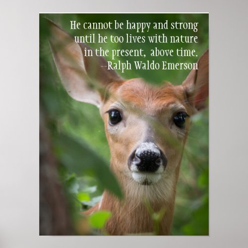 Ralph Waldo Emerson Nature Quote Poster