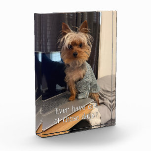 Ralphie the Teacup Yorkie One of Those Days Acrylic Award