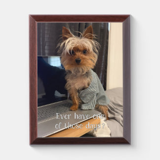 Ralphie the Teacup Yorkie One of Those Days Award Plaque