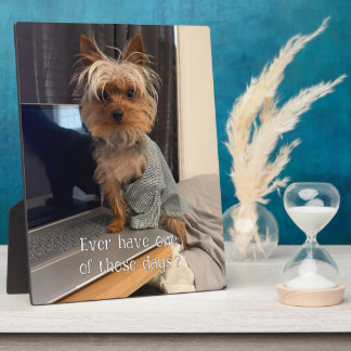 Ralphie the Teacup Yorkie One of Those Days Plaque