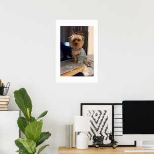 Ralphie the Teacup Yorkie One of Those Days Poster
