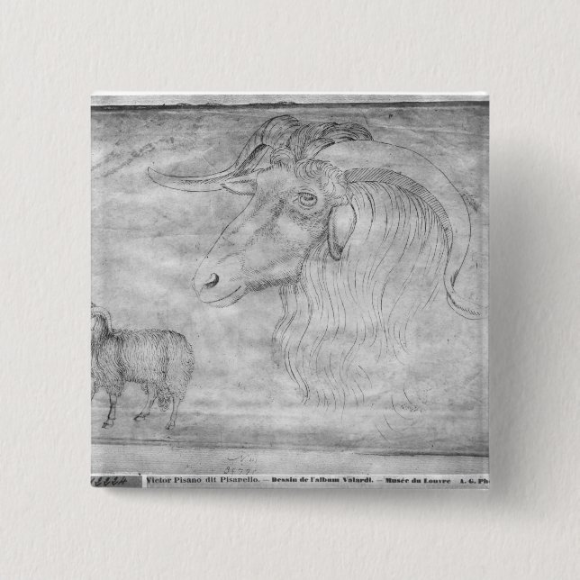 Ram and head of a ram pinback button (Front)