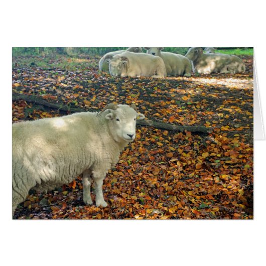 Ram Card (Front Horizontal)