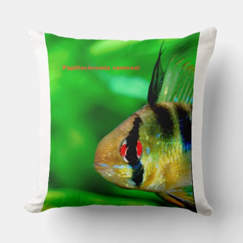 Ram Cichlid  Papiliochromis ramirezi Throw Pillow