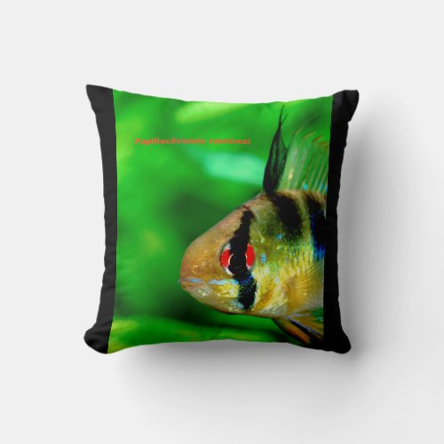 Ram Cichlid  Papiliochromis ramirezi Throw Pillow