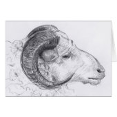 Ram Head Original Drawing Greeting Card (Front Horizontal)