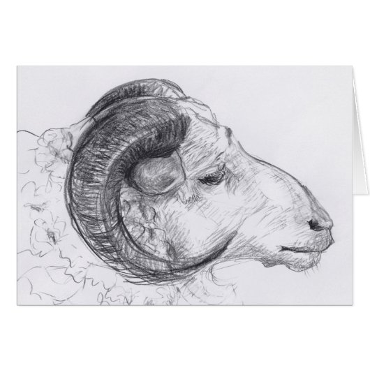 Ram Head Original Drawing Greeting Card (Front Horizontal)
