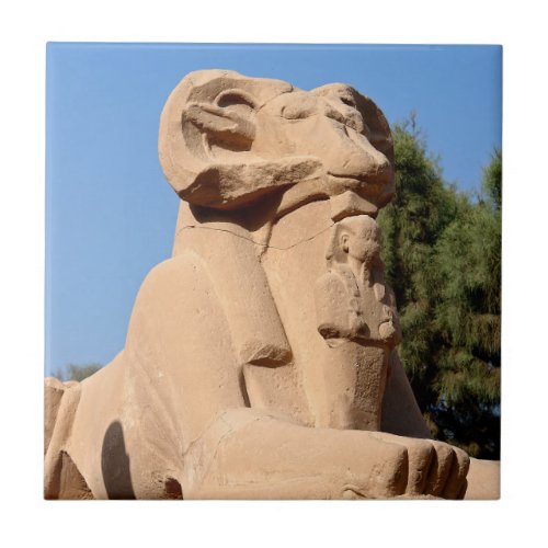 Ram_headed Sphinx in Karnak Temple _ Egypt Ceramic Tile